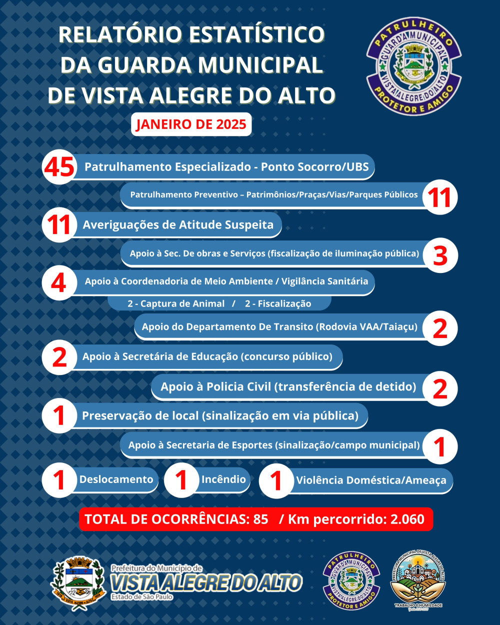 Relatório estatístico da Guarda Municipal de Vista Alegre do Alto.