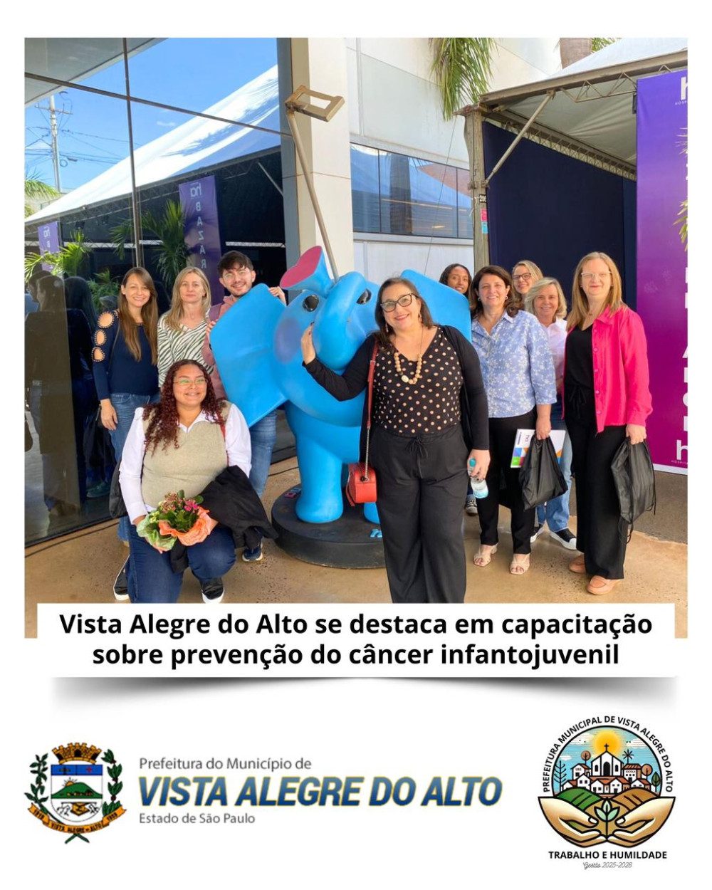 Vista Alegre do Alto se destaca em capacitação sobre prevenção do câncer infantojuvenil.