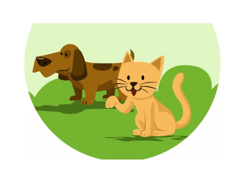 Vista Alegre adere a programa estadual de proteção aos animais domésticos.