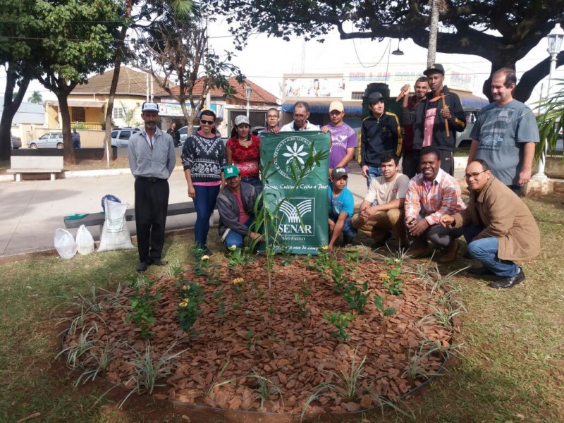 Vista Alegre oferece curso de poda de árvores e jardinagem.