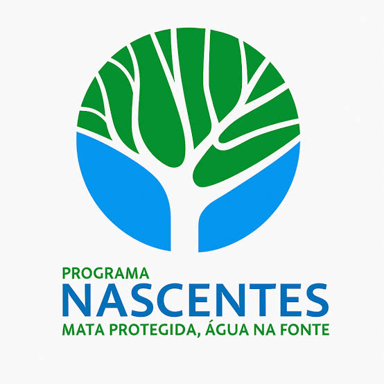Prefeitura de Vista Alegre do Alto continua promovendo incentivos junto ao “Programa Nascentes” e apoia ações de recuperação no território municipal.