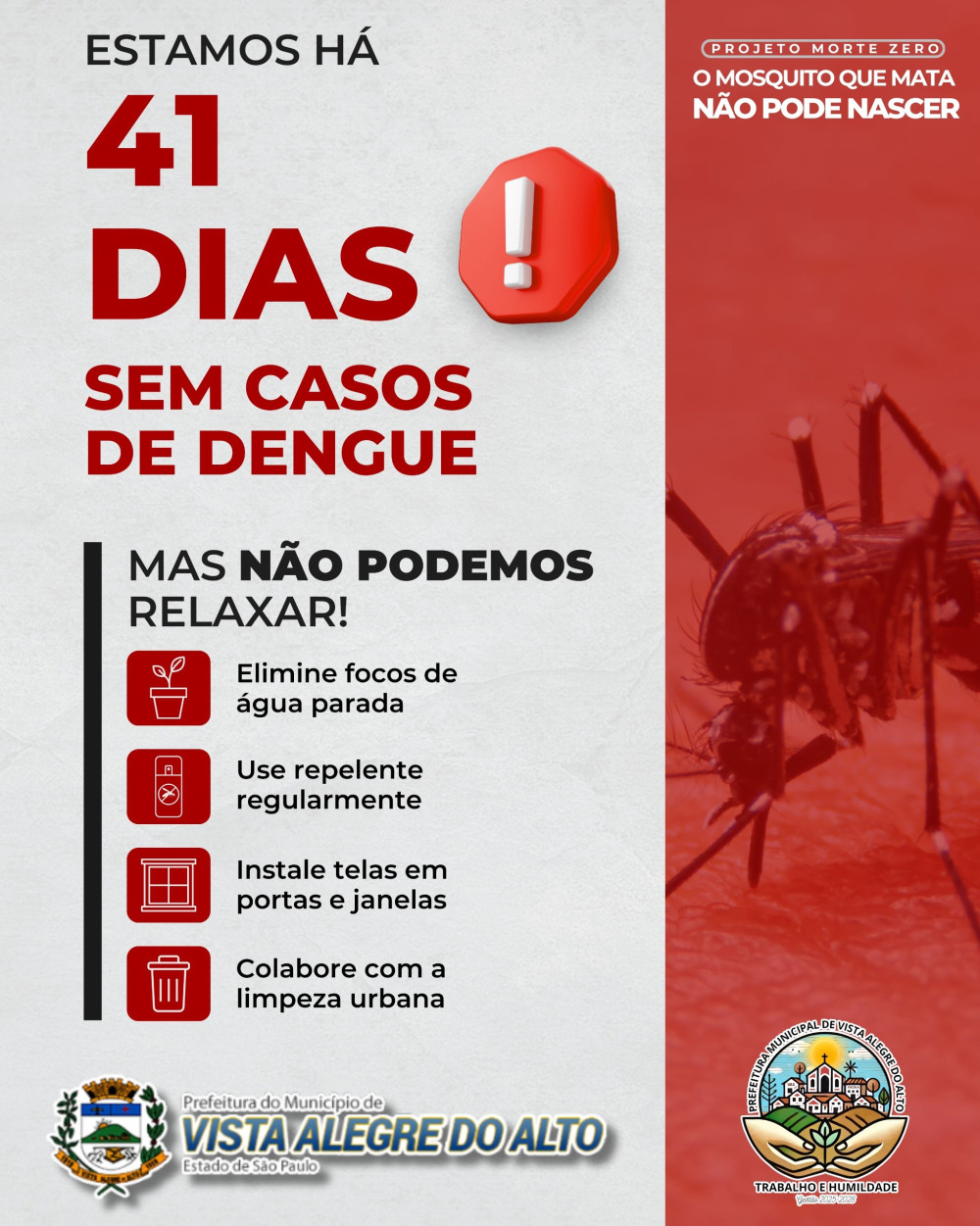 Vista Alegre do Alto completa 41 dias sem novos casos de dengue.