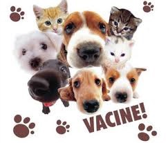 Campanha de vacinação contra a Raiva para Cães e Gatos.