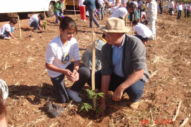 Vista Alegre do Alto realiza sua 2ª Semana do Meio Ambiente com campanhas educativas.