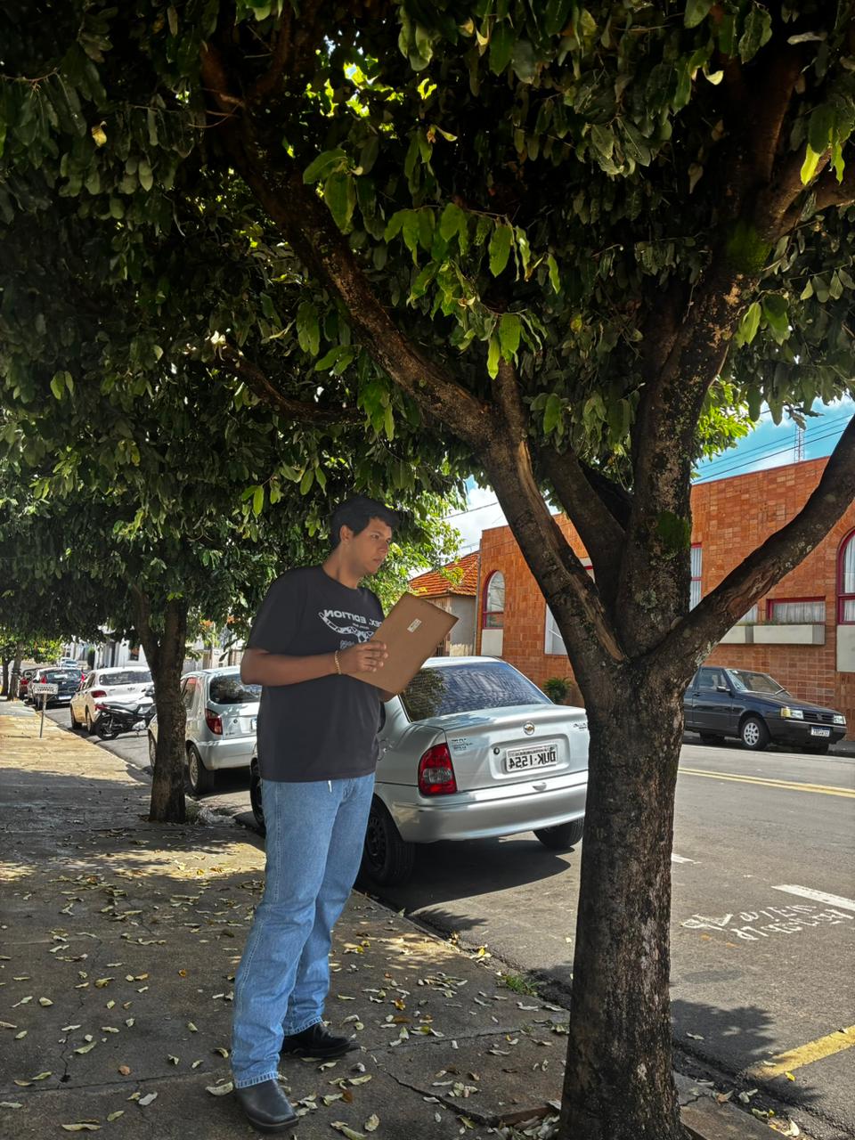 Prefeitura de Vista Alegre do Alto intensifica ações para o aumento da cobertura vegetal na área urbana.