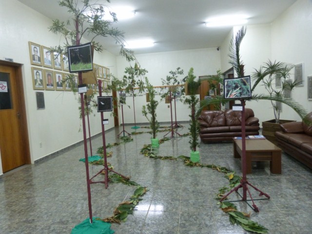 III Semana do Meio Ambiente de Vista Alegre do Alto.