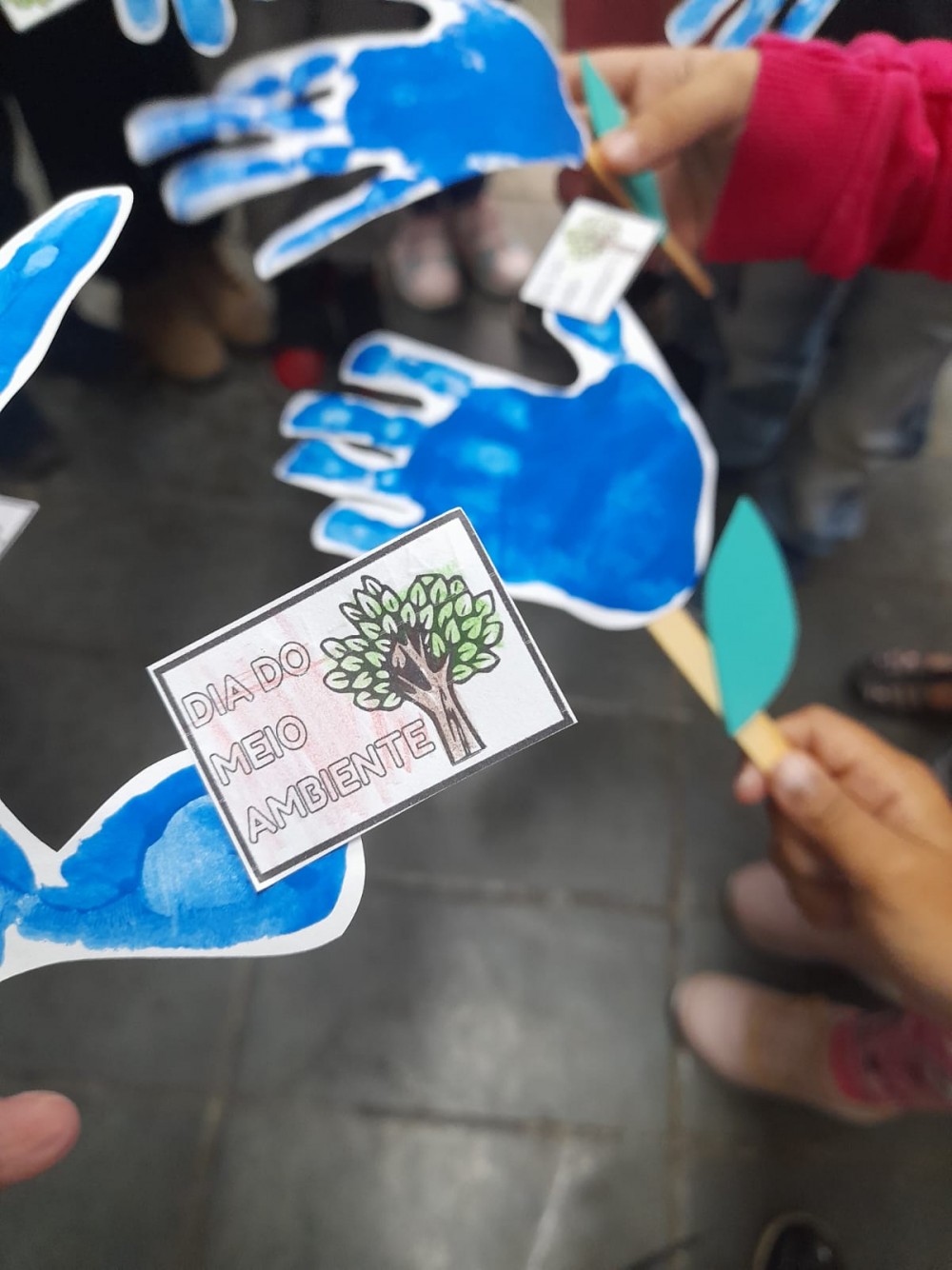 Prefeitura de Vista Alegre do Alto comemora o Dia Mundial do Meio Ambiente.