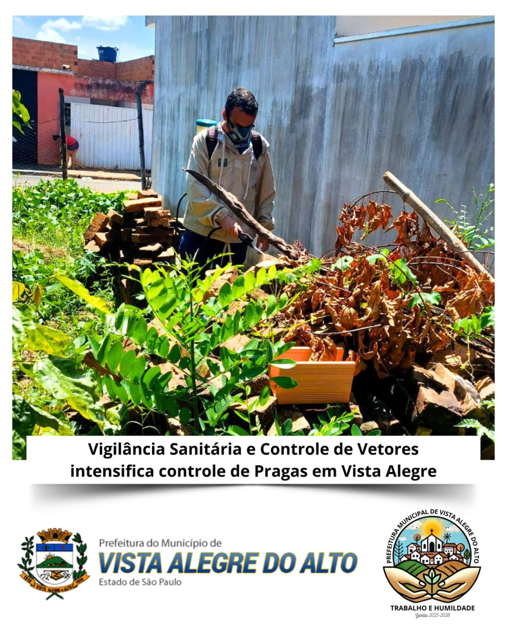 Vigilância Sanitária e Controle de Vetores intensifica controle de Pragas em Vista Alegre.