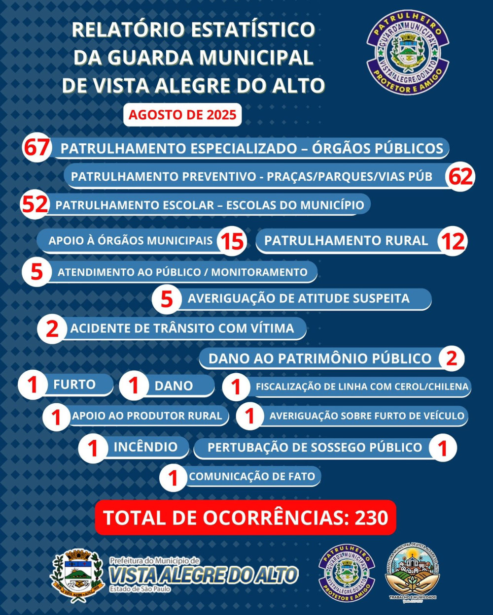 Relatório estatístico da Guarda Municipal de Vista Alegre do Alto.