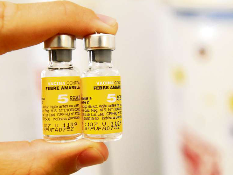 Vacinação contra a Febre Amarela.