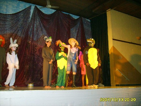 Espetáculo Teatral - “Verdunga na Terra do Verde Cinza”
