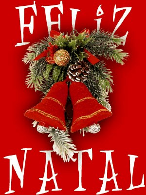 Feliz Natal e um Lindo 2013!