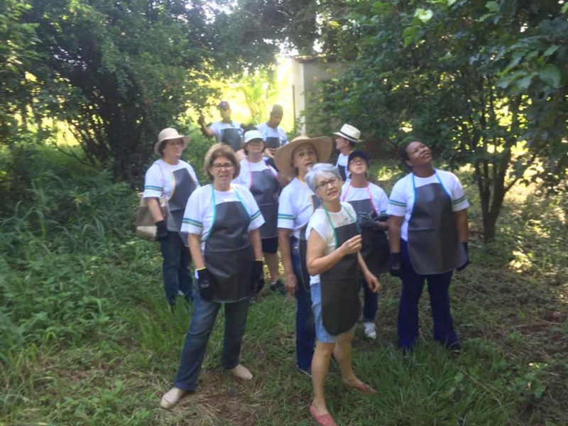 Vista Alegre realiza curso de horta agroecológica.