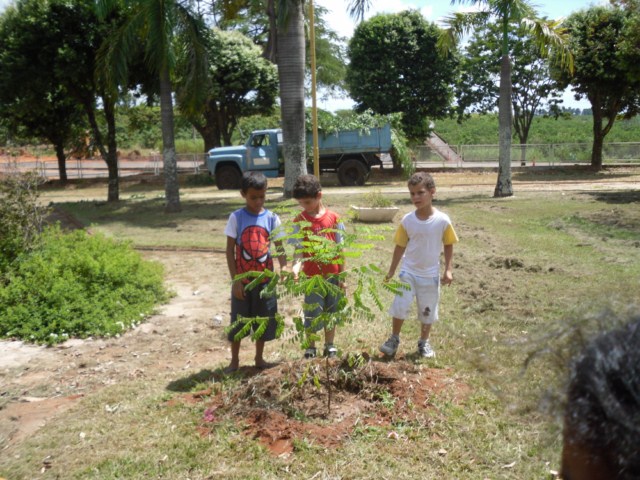 Plantio de árvores na praça Inocêncio de Paula Eduardo.