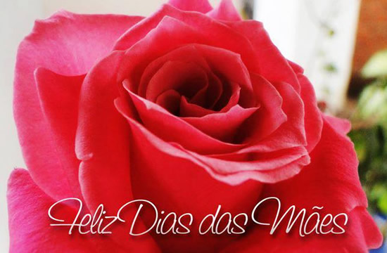 "Feliz Dia das Mães."