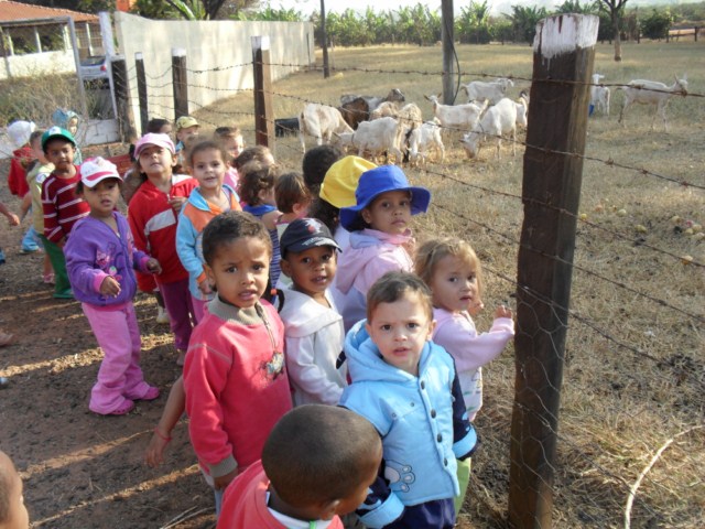 A Creche Coração de Jesus proporciona às crianças um grande piquenique.