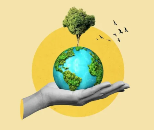 Prefeitura de Vista Alegre do Alto realiza estudo do território para elaboração do Plano Municipal de Adaptação às Mudanças Climáticas.