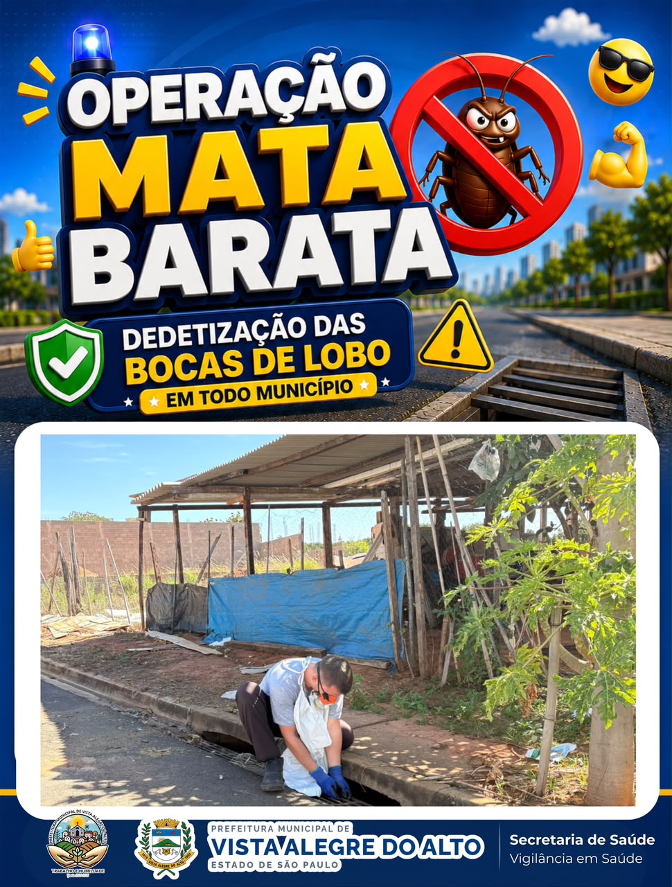 Operação Mata Barata reforça combate a insetos e animais peçonhentos em Vista Alegre do Alto.