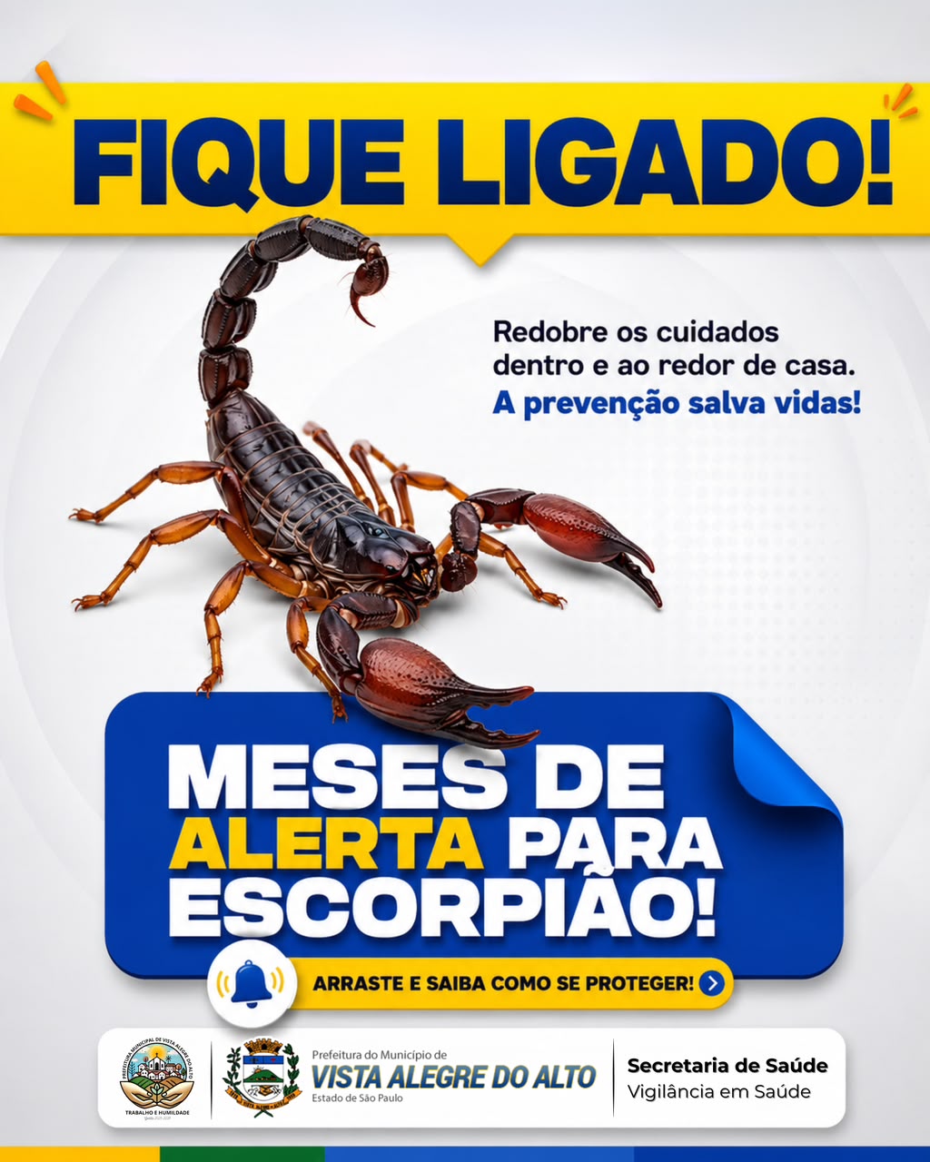 Vista Alegre do Alto Reforça Cuidados para Evitar Acidentes com Escorpiões.