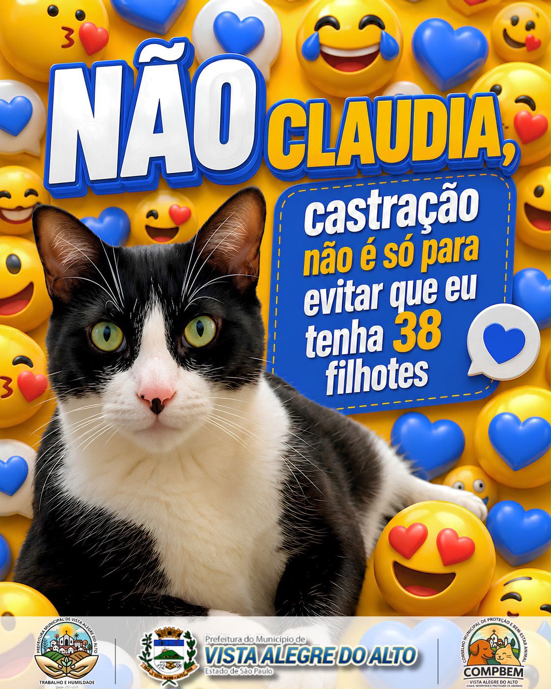 Castração de cães e gatos contribui para saúde e bem-estar animal em Vista Alegre do Alto.