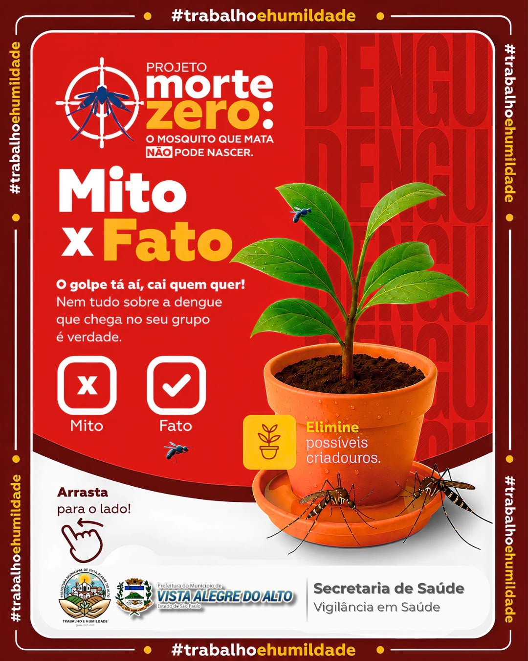 Projeto Morte Zero orienta população sobre mitos e verdades no combate à dengue.
