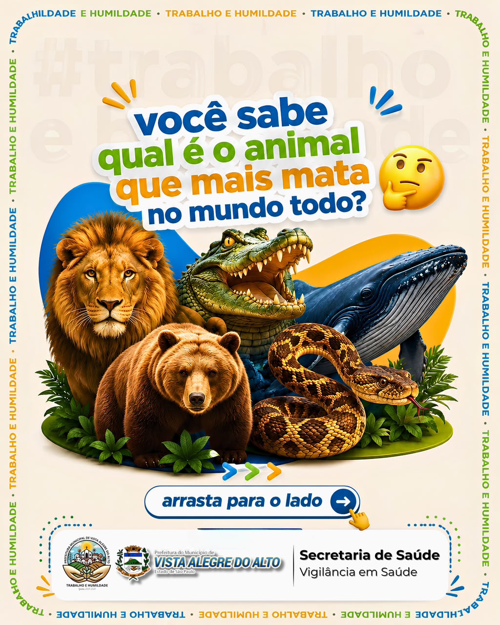 São 150 dias sem dengue no município.