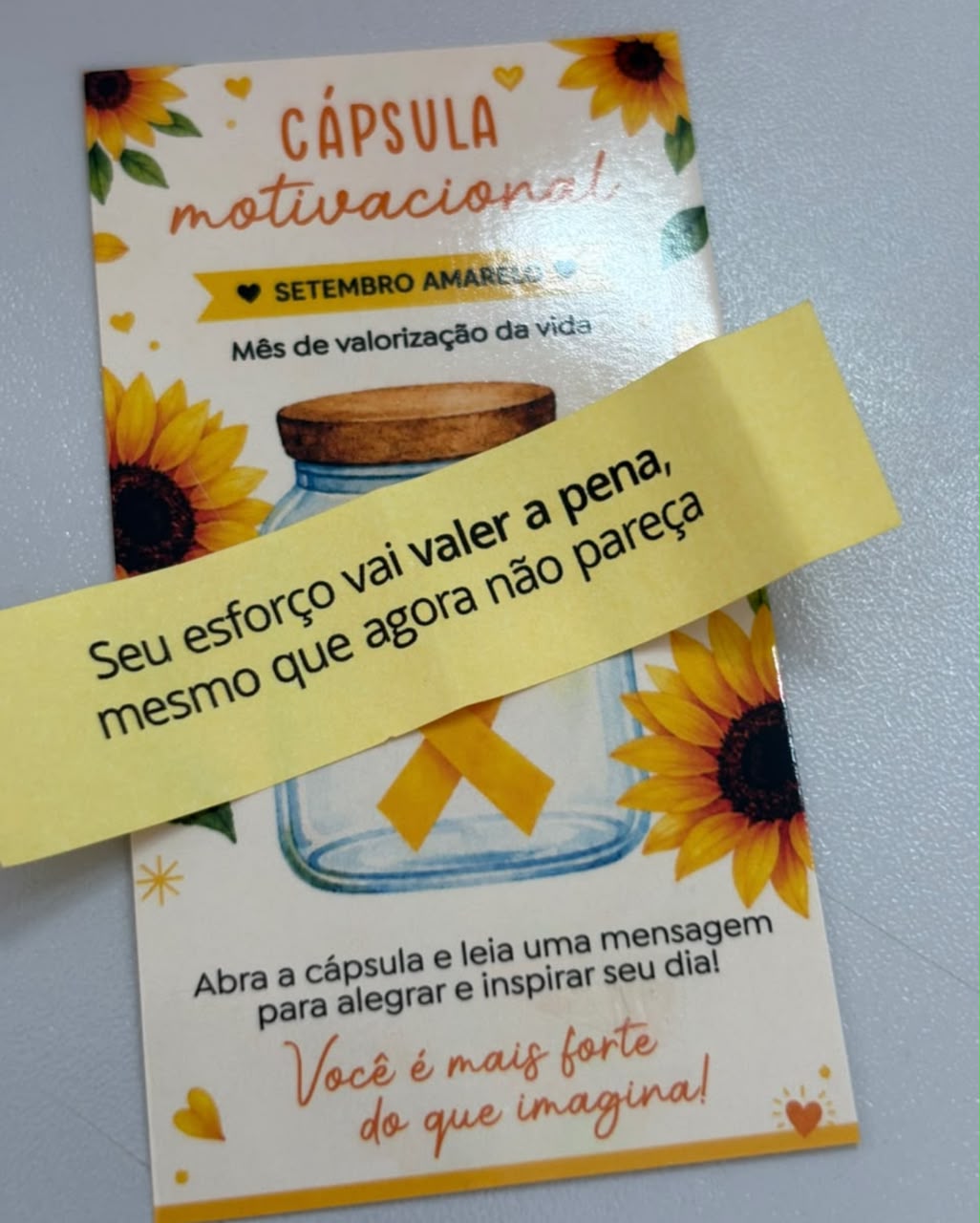 16º Sábado da Saúde do Trabalhador destaca cuidados com a saúde mental em Vista Alegre do Alto.