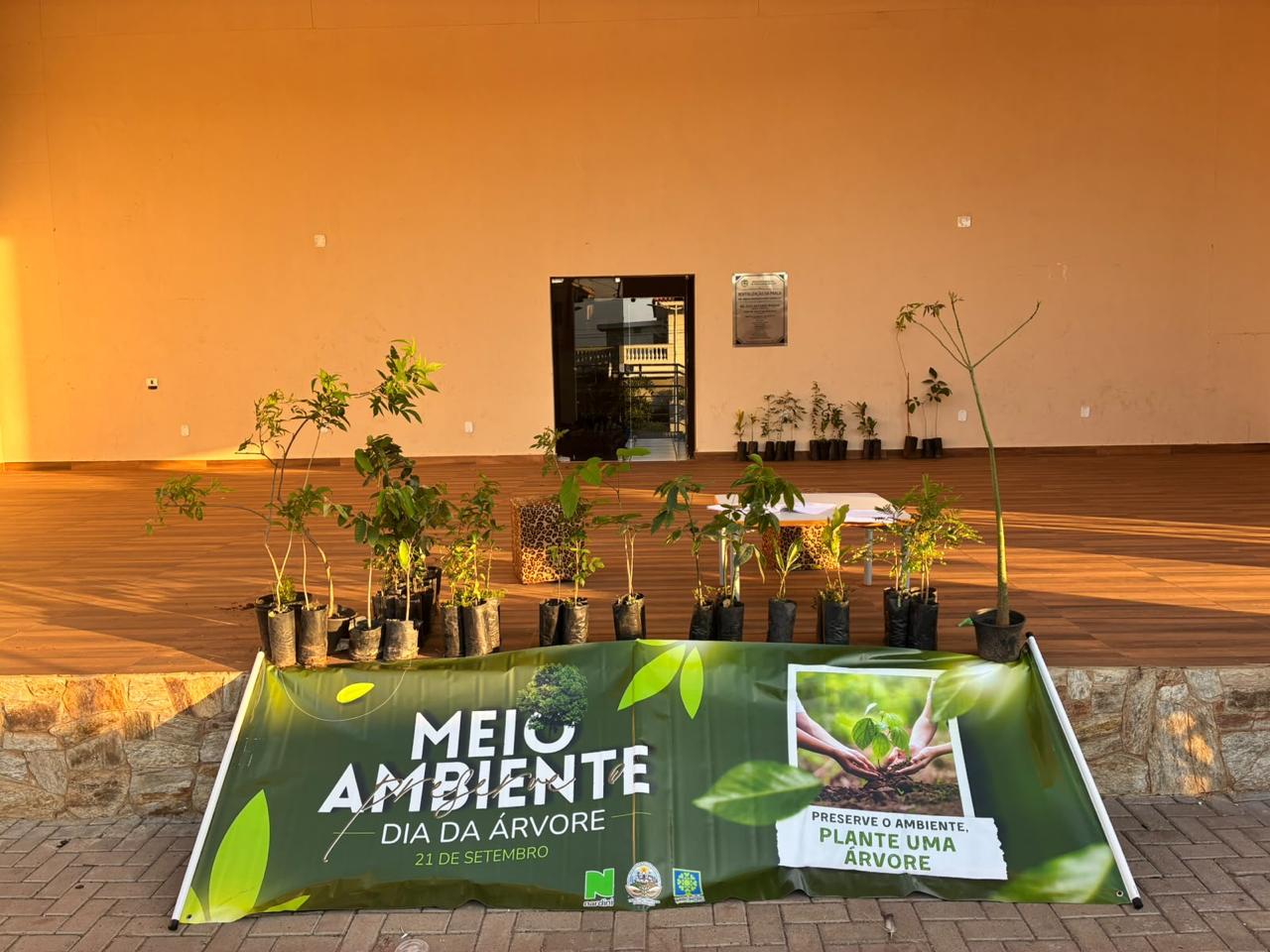 Prefeitura de Vista Alegre do Alto promove ações de educação ambiental em celebração ao “Dia da Árvore”